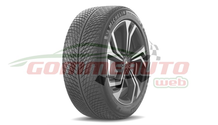 COP. 255/55 R20 110V PILOT ALPIN 5 SUV
